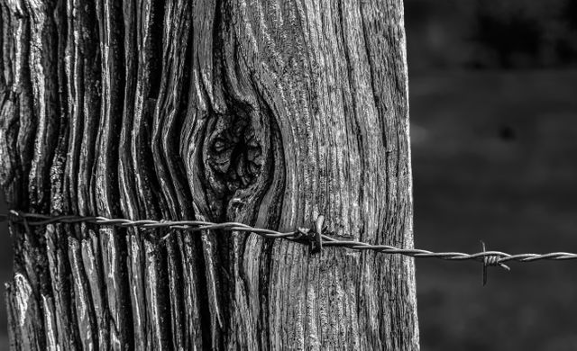This monochrome image captures a rustic, weathered wooden fence post incorporated with barbed wire. The detailed textures of the aged wood and the sharpness of the barbed wire make it ideal for rural, rustic-themed projects. Suitable for illustrating themes like protection, barriers, or the countryside. It can be used in articles, blogs, or any creative projects dealing with rural life, security, or agricultural settings.