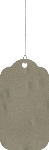 Elegant Gray Label with Copy Space on Transparent Background - Download Free Stock Videos Pikwizard.com