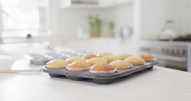 Freshly Baked Muffins Cooling on Kitchen Counter - Download Free Stock Images Pikwizard.com