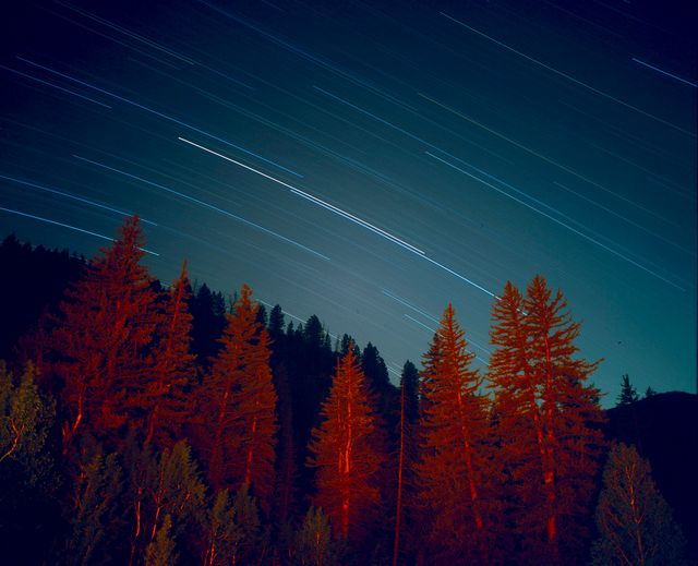 Beautiful long exposure capturing star trails over a forest with trees illuminated in bright hues. Ideal for use in astronomy articles, nature photography collections, night sky photography tutorials, or promotional materials for outdoor adventure and stargazing activities.