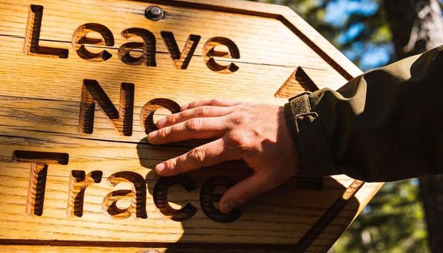 Hiker pressing hand on leave no trace carved wooden trail sign sunlit forest conservation