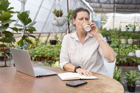 Mature woman working remotely in greenhouse, sipping coffee and using laptop