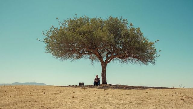 Solitary traveler resting beneath broad-canopied tree on sunlit arid plain, desert solitude