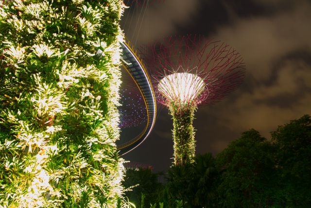 This stock photo captures the magical night view of the illuminated Supertrees at Gardens by the Bay in Singapore. The vibrant lights showcase the unique structure of these vertical gardens, creating a futuristic atmosphere. Ideal for use in travel blogs, promotional materials for tourism in Singapore, and publications focused on modern architecture or sustainable urban landscapes.