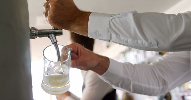 Bartender Pouring Fresh Draft Beer in Glass Mug - Download Free Stock Images Pikwizard.com