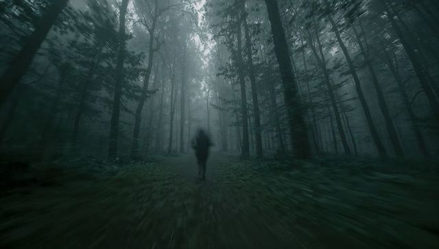 Solitary Figure Walking Through Mystical Foggy Forest