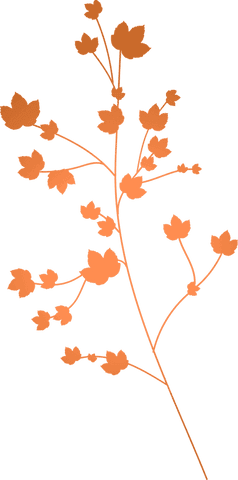 Stylized orange plant branch on transparent background vector illustration