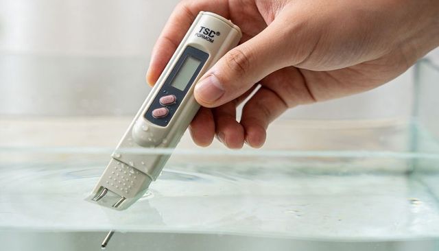 Adult hand holding digital water tester measuring water quality in glass tank