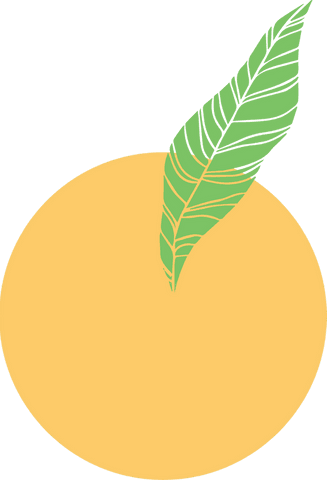Abstract Yellow Fruit with Green Leaf on Transparent Background - Download Free Stock Videos Pikwizard.com