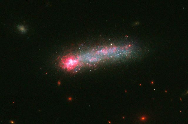 Fireworks shows are not just confined to Earth’s skies. NASA’s Hubble Space Telescope has captured a spectacular fireworks display in a small, nearby galaxy, which resembles a July 4th skyrocket.  A firestorm of star birth is lighting up one end of the diminutive galaxy Kiso 5639. The dwarf galaxy is shaped like a flattened pancake, but because it is tilted edge-on, it resembles a skyrocket, with a brilliant blazing head and a long, star-studded tail.  Kiso 5639 is a rare, nearby example of elongated galaxies that occur in abundance at larger distances, where we observe the universe during earlier epochs. Astronomers suggest that the frenzied star birth is sparked by intergalactic gas raining on one end of the galaxy as it drifts through space.  “I think Kiso 5639 is a beautiful, up-close example of what must have been common long ago,” said lead researcher Debra Elmegreen of Vassar College, in Poughkeepsie, New York. “The current thinking is that galaxies in the early universe grow from accreting gas from the surrounding neighborhood. It’s a stage that galaxies, including our Milky Way, must go through as they are growing up.”  Observations of the early universe, such as Hubble’s Ultra-Deep Field, reveal that about 10 percent of all galaxies have these elongated shapes, and are collectively called “tadpoles.” But studies of the nearby universe have turned up only a few of these unusual galaxies, including Kiso 5639. The development of the nearby star-making tadpole galaxies, however, has lagged behind that of their peers, which have spent billions of years building themselves up into many of the spiral galaxies seen today.  Elmegreen used Hubble’s Wide Field Camera 3 to conduct a detailed imaging study of Kiso 5639. The images in different filters reveal information about an object by dissecting its light into its component colors. Hubble’s crisp resolution helped Elmegreen and her team analyze the giant star-forming clumps in Kiso 5639 and determine the masses and ages of the star clusters.  The international team of researchers selected Kiso 5639 from a spectroscopic survey of 10 nearby tadpole galaxies, observed with the Grand Canary Telescope in La Palma, Spain, by Jorge Sanchez Almeida and collaborators at the Instituto de Astrofisica de Canarias. The observations revealed that in most of those galaxies, including Kiso 5639, the gas composition is not uniform.  The bright gas in the galaxy’s head contains fewer heavier elements (collectively called “metals”), such as carbon and oxygen, than the rest of the galaxy. Stars consist mainly of hydrogen and helium, but cook up other “heavier” elements. When the stars die, they release their heavy elements and enrich the surrounding gas.  “The metallicity suggests that there has to be rather pure gas, composed mostly of hydrogen, coming into the star-forming part of the galaxy, because intergalactic space contains more pristine hydrogen-rich gas,” Elmegreen explained. “Otherwise, the starburst region should be as rich in heavy elements as the rest of the galaxy.”  Hubble offers a detailed view of the galaxy’s star-making frenzy. The telescope uncovered several dozen clusters of stars in the galaxy’s star-forming head, which spans 2,700 light-years across. These clusters have an average age of less than 1 million years and masses that are three to six times larger than those in the rest of the galaxy. Other star formation is taking place throughout the galaxy but on a much smaller scale. Star clusters in the rest of the galaxy are between several million to a few billion years old.  “There is much more star formation going on in the head than what you would expect in such a tiny galaxy,” said team member Bruce Elmegreen of IBM’s Thomas J. Watson’s Research Center, in Yorktown Heights, New York. “And we think the star formation is triggered by the ongoing accretion of metal-poor gas onto a part of an otherwise quiescent dwarf galaxy.”  Hubble also revealed giant holes peppered throughout the galaxy’s starburst head. These cavities give the galaxy’s head a Swiss-cheese appearance because numerous supernova detonations – like firework aerial bursts – have carved out holes of rarified superheated gas.  The galaxy, located 82 million light-years away, has taken billions of years to develop because it has been drifting through an isolated “desert” in the universe, devoid of much gas.  What triggered the starburst in such a backwater galaxy? Based on simulations by Daniel Ceverino of the Center for Astronomy at Heidelberg University in Germany, and other team members, the observations suggest that less than 1 million years ago, Kiso 5639’s leading edge encountered a filament of gas. The filament dropped a large clump of matter onto the galaxy, stoking the vigorous star birth.  Debra Elmegreen expects that in the future other parts of the galaxy will join in the star-making fireworks show. “Galaxies rotate, and as Kiso 5639 continues to spin, another part of the galaxy may receive an infusion of new gas from this filament, instigating another round of star birth,” she said.  The team’s results have been accepted for publication in The Astrophysical Journal.  Other team members include Casiana Munoz-Tunon and Mercedes Filho (Instituto de Astrofísica de Canarias, Canary Islands), Jairo Mendez-Abreu (University of St. Andrews, United Kingdom), John Gallagher (University of Wisconsin-Madison), and Marc Rafelski (NASA's Goddard Space Flight Center, Greenbelt, Maryland).  The Hubble Space Telescope is a project of international cooperation between NASA and the European Space Agency. NASA's Goddard Space Flight Center in Greenbelt, Maryland, manages the telescope. The Space Telescope Science Institute (STScI) in Baltimore, Maryland, conducts Hubble science operations. STScI is operated for NASA by the Association of Universities for Research in Astronomy in Washington, D.C.