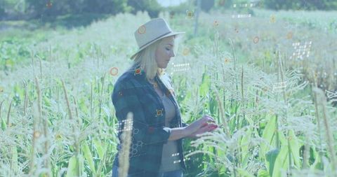 Female farmer monitoring corn with digital graphics enhancements