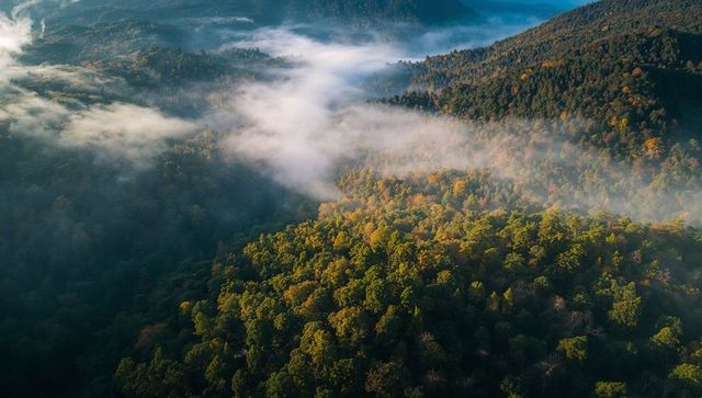 Aerial mist rolling through autumn mountain valley with sunlit forest canopy panorama