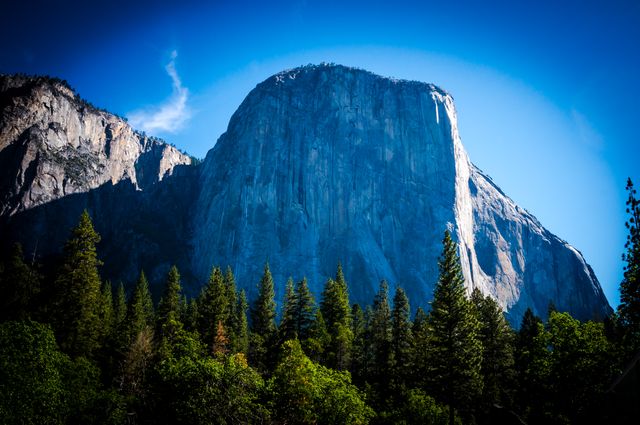 El Capitan rises spectacularly against a clear blue sky in Yosemite National Park, surrounded by lush green trees and dense forest. Perfect for use in travel brochures, adventure websites, outdoor gear advertisements, and nature-inspired promotional materials, it captures the essence of outdoor adventure and natural beauty.