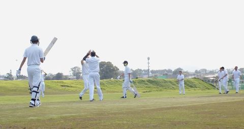 Cricket Players Celebrating Wicket on Sunny Field