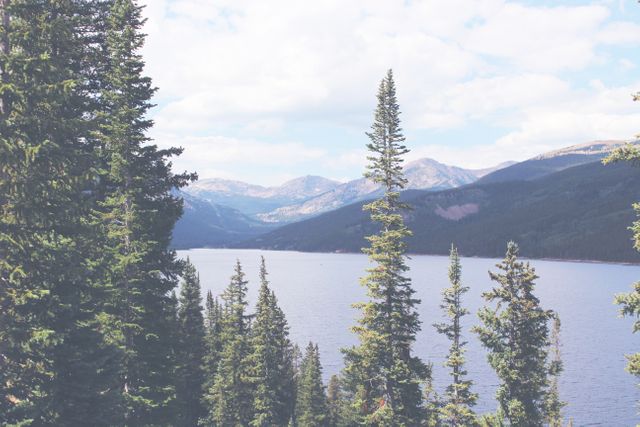 This image depicts a serene mountain lake surrounded by tall evergreen trees and majestic mountains in the background. The calm waters and lush pine trees create a tranquil and picturesque natural landscape. Ideal for use in travel blogs, outdoor adventure promotions, nature websites, relaxation and wellness materials, and environmental conservation campaigns.