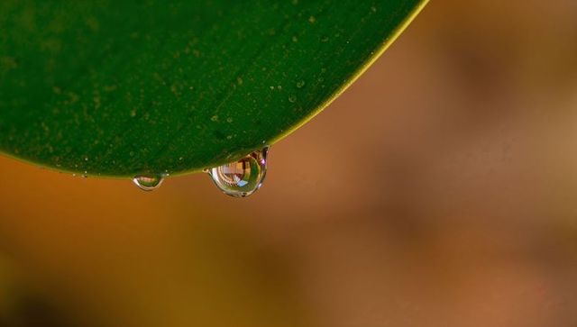 Macro dew droplet hanging from green leaf edge with mirrored reflection and warm bokeh