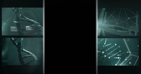 Medical data processing screens with genetic analysis background