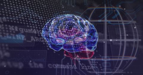 Digital Brain with Data Processing in Futuristic Space - Download Free Stock Images Pikwizard.com