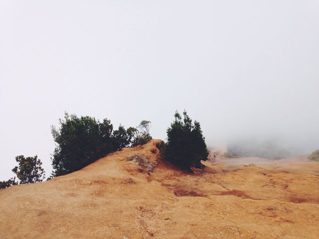 Foggy Cliffside with Sparse Vegetation and Low Visibility - Download Free Stock Photos Pikwizard.com