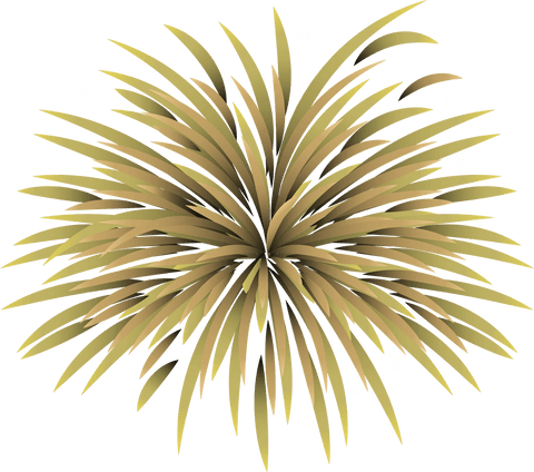 abstract fireworks shape on transparent background - Download Free Stock Videos Pikwizard.com