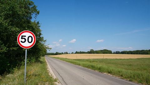 Country road showing 50 speed limit sign beside golden wheat field under blue sky
