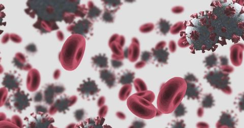 COVID-19 Virus Interaction with Red Blood Cells in Vein