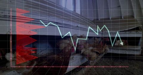 Sustainable poultry farming with economic data overlay