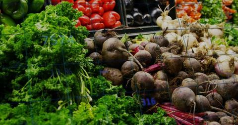 Displaying vibrant market beets and parsley with eggplant, peppers and garlic