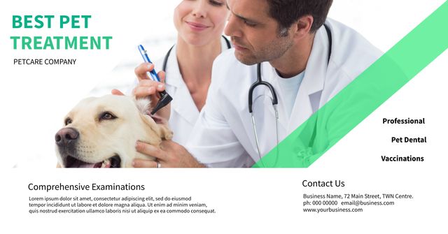 Compassionate Veterinary Care Ad with Professional and Friendly Service - Download Free Stock Templates Pikwizard.com