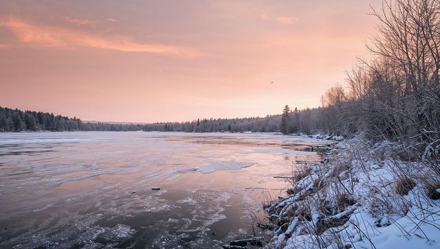 Pastel Sunrise over Partially Frozen Lake Reflecting Soft Pink Sky and Snowy Shoreline