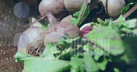 Displaying beetroots in woven basket with leafy greens and rustic market texture