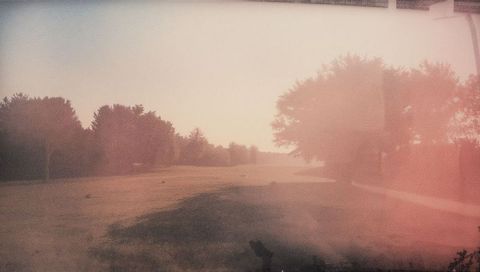 Dreamlike sunlit fairway with pink light leak, misty meadow and silhouetted tree line