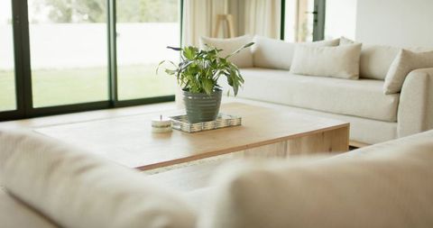 Sunlit Minimal Interior Featuring Potted Green Plant on Wooden Coffee Table, Neutral Sofas