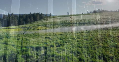 Financial Graphs Overlay on Lush Meadow Landscape