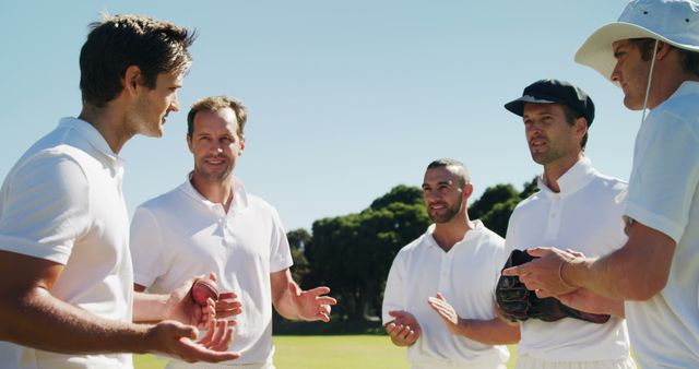 Cricket Team Meeting on Field with Sunlit Background - Download Free Stock Images Pikwizard.com