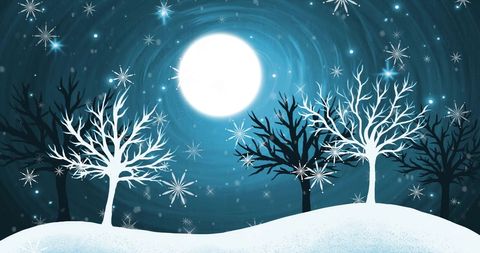 Magical Winter Night with Sparkling Moon and Snowy Trees - Download Free Stock Images Pikwizard.com