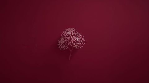 Line art white rose drawing set on deep burgundy for elegant minimalism