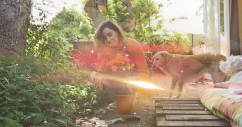 Planting marigolds in sunlit backyard with golden retriever, cozy rustic gardening moment