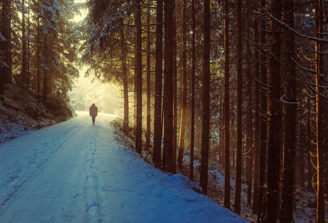 Person Walking in Snowy Forest at Sunrise - Download Free Stock Photos Pikwizard.com