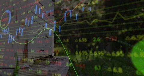 Ant Crawling on Plank with Stock Market Overlay