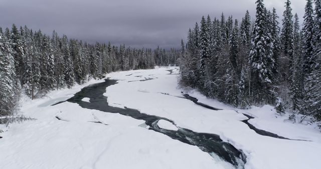 Snow-covered forest area with a partially frozen river winding through the scene. Dense pine trees covered in snow surround the river, creating a serene, cold weather landscape. Ideal for use in projects related to winter, cold climates, nature, wilderness expeditions, and scenic beauty.