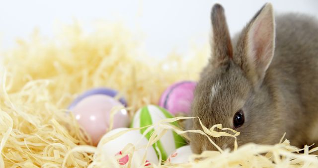 A cute bunny sits among colorful Easter eggs nestled in yellow straw, with copy space. Easter celebrations often include such symbols representing new life and springtime festivities.
