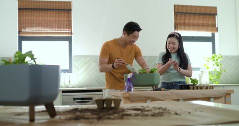 Couple potting indoor herb garden on sunlit kitchen island, planting and smiling together