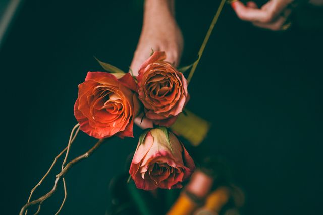 Hands arranging a bouquet of orange roses, ideal for florist services, floral design tutorials, or nature appreciation content. The dark background emphasizes the vibrant colors of the flowers, making it suitable for use in flower-themed promotions, wedding planning, or home decor inspiration.