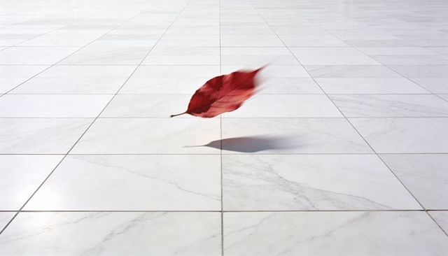 Floating scarlet leaf over white marble grid casting soft shadow minimalist motion blur