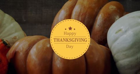 Thanksgiving Greetings Displayed on Colorful Pumpkins