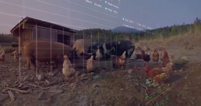 Farm animals such as pigs and chickens graze in a rural field, with an overlay of stock market visualizations reflecting the intersection of agriculture and finance. This suggests new investment opportunities in agribusiness and the economy. Useful for topics related to economic analysis, agriculture industry trends, and innovative investment strategies.