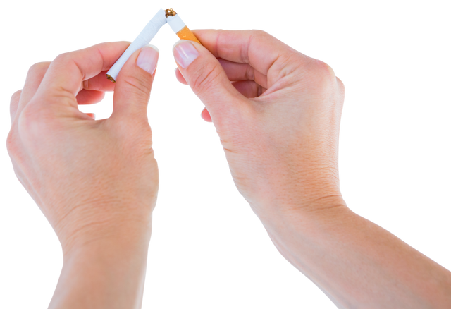 Close-Up of Woman's Hands Breaking Cigarette Against Transparent Background - Download Free Stock Videos Pikwizard.com