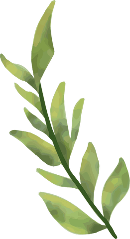 green sprig with gradient leaves on transparent background - Download Free Stock Videos Pikwizard.com