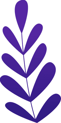 purple abstract botanical branch on transparent background - Download Free Stock Videos Pikwizard.com